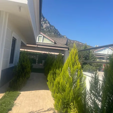Zengin Villa